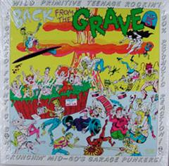 VARIOUS ARTISTS - BACK FROM THE GRAVE Vol. 5