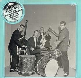 VARIOUS ARTISTS - Bison Bop Vol. 28