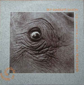 SKY SUNLIGHT SAXON Stars Peace Band - Masters Of Psychedelia