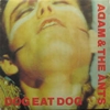 ADAM AND THE ANTS