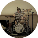 Mr. Slipper and his (lazy) Cats