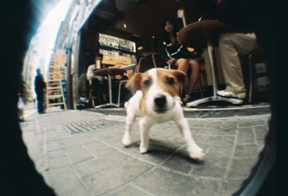 Fisheye Beispiel 06