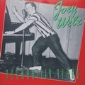JOEY WELZ - Rockabilly Years
