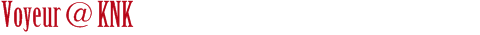 Voyeur @ KNK
