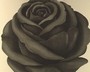 SCHWARZE ROSE - RETRO-TAPETE
