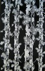 TAPETE - FOREST BLACK&WHITE